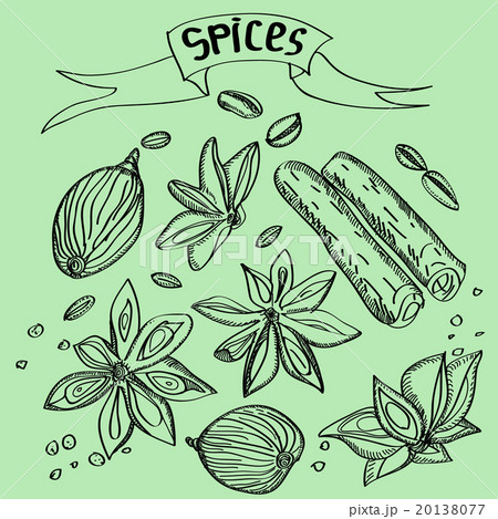 Hand drawn  spices sketch set  20138077