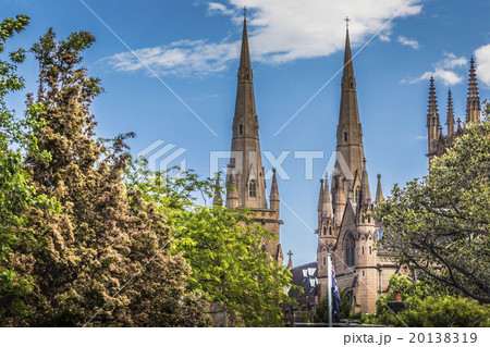 The Metropolitan Cathedral  20138319