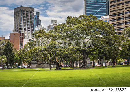 Australia Sydney downtown CBD towers and skyscrape 20138325