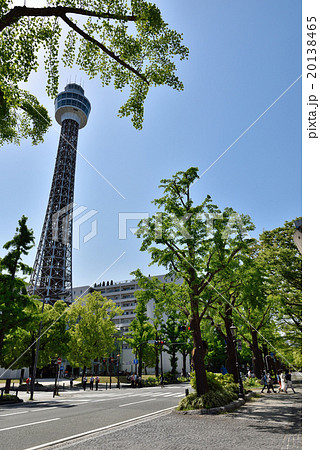 山下公園沿いの通りとマリンタワー 山下公園沿いの通りとマリンタワー 20138465