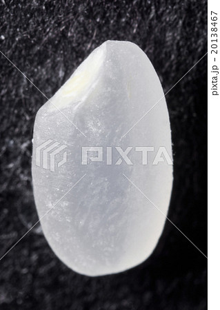白米の顕微鏡写真 白米の顕微鏡写真 20138467