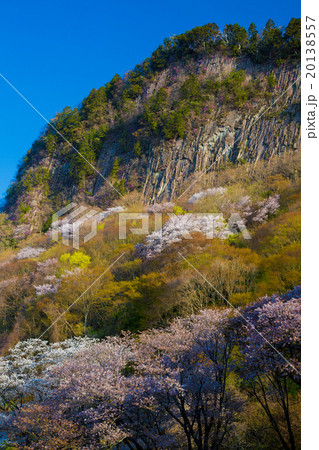 山桜満開の屏風岩公苑の柱状節理 山桜満開の屏風岩公苑の柱状節理 20138557