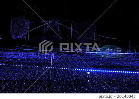 夜景　イルミネーション　青色 20140043