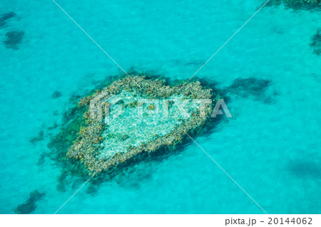 ハートリーフ ハートリーフ 20144062