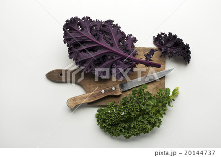 Kale leaf 20144737