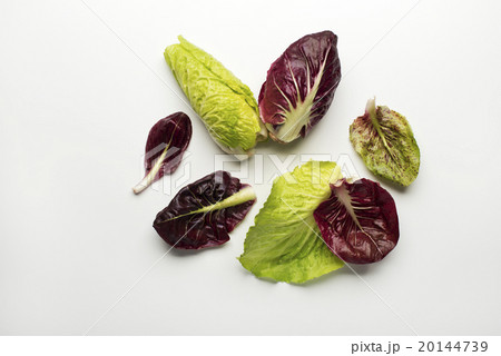 Salad leaves 20144739