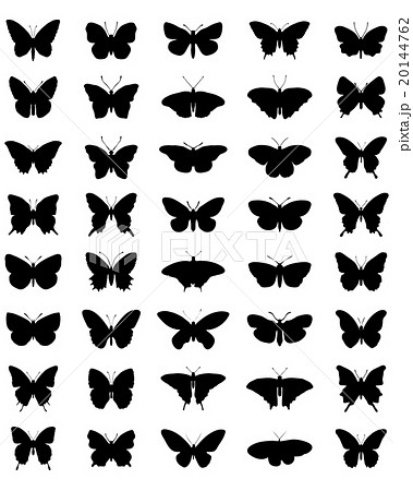 Silhouettes Of Butterflies のイラスト素材