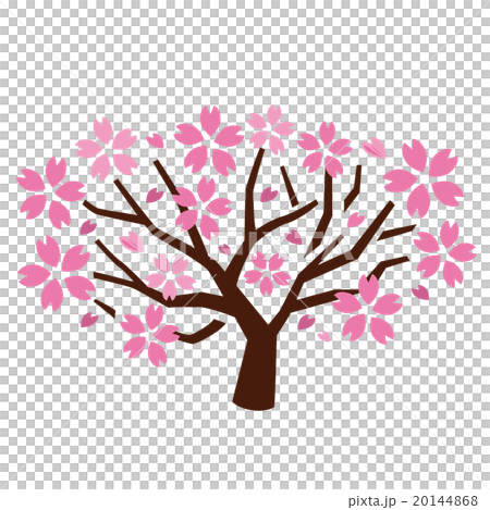 桜 20144868