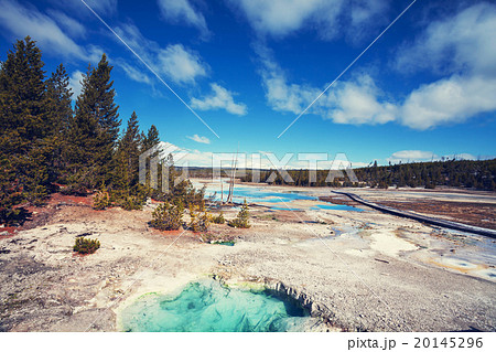 Yellowstone Yellowstone 20145296