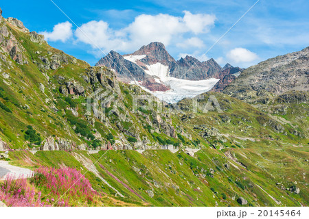 View to Steingletcher mountain in Swiss Alps 20145464