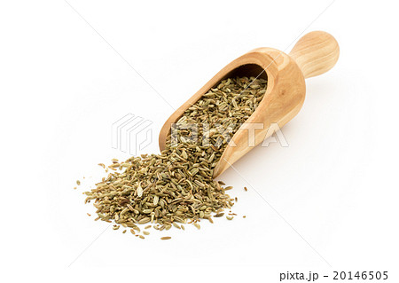 フェンネルシード: Fennel Seed フェンネルシード: Fennel Seed 20146505