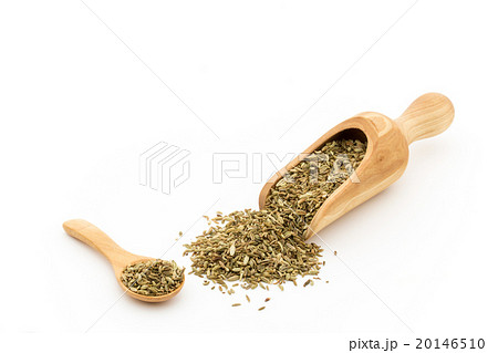 フェンネルシード: Fennel Seed フェンネルシード: Fennel Seed 20146510