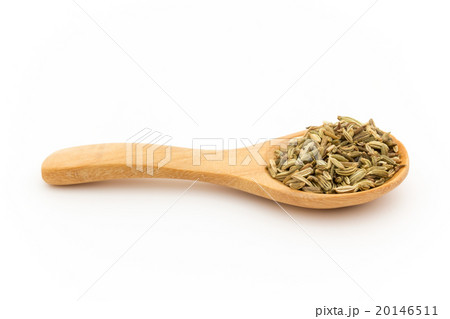 フェンネルシード: Fennel Seed 20146511