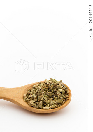 フェンネルシード: Fennel Seed 20146512