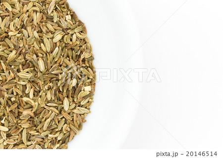 フェンネルシード: Fennel Seed 20146514
