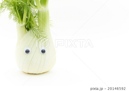 目玉シール・フェンネル: wiggly-eyed fennel 目玉シール・フェンネル: wiggly-eyed fennel 20146592