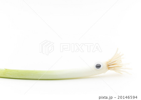 目玉シール・ワケギ: wiggly-eyed green onion 目玉シール・ワケギ: wiggly-eyed green onion 20146594