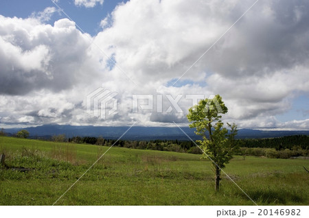 久住高原沢水キャンプ場 20146982