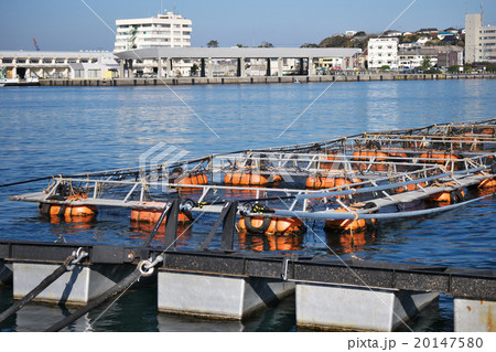 イケス イケス 20147580