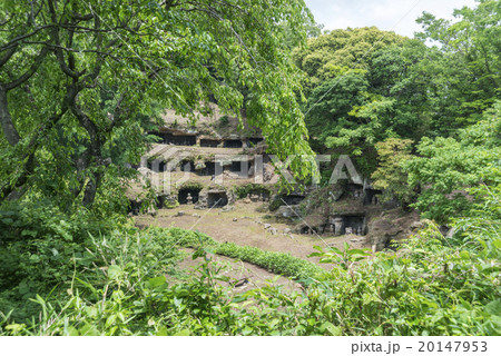 まんだら堂やぐら群木立遠景 20147953