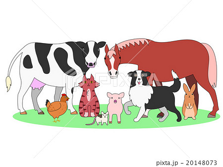 農場の動物のグループ 農場の動物のグループ 20148073
