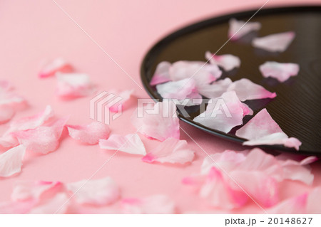 春イメージ 桜 春イメージ 桜 20148627