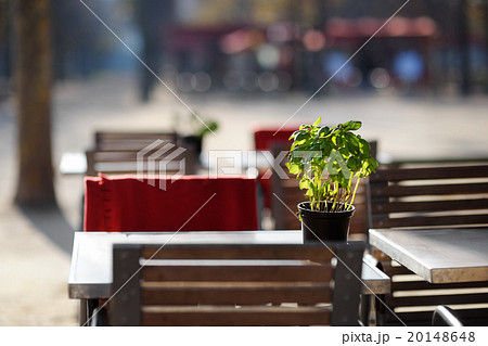 Cozy outdoor cafe Cozy outdoor cafe 20148648