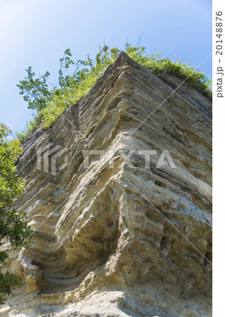 法性寺の切岸 法性寺の切岸 20148876