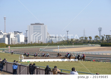 障害レース 20149685