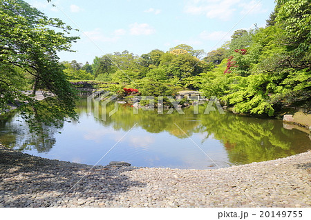 京都　初夏の仙洞御所　南池 20149755