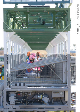 競馬 ゲートイン 競馬 ゲートイン 20149826