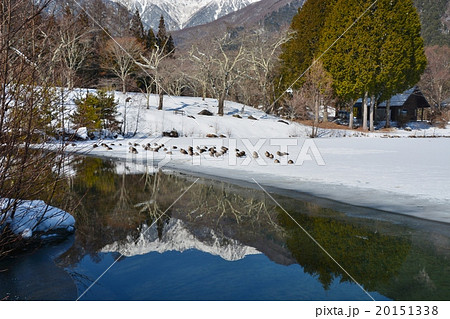 冬景色 20151338