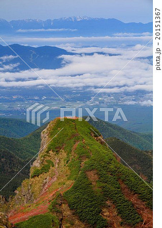 八ヶ岳連峰・横岳大同心と中央アルプス 20151367