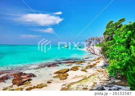 Shoreline of a tropical island in the Maldives  20152587
