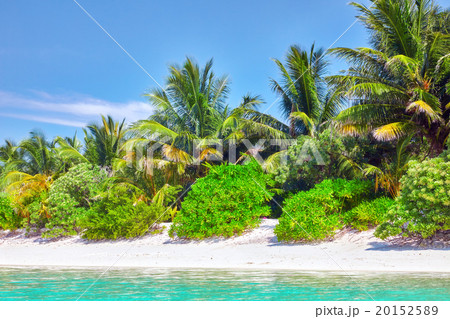 Shoreline of a tropical island in the Maldives  20152589