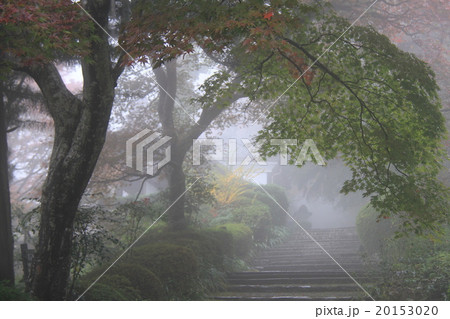 善峯寺 20153020