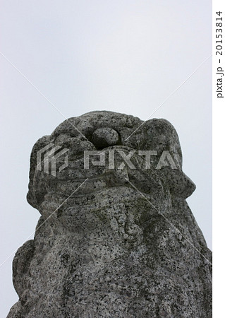 狛犬の表情 20153814