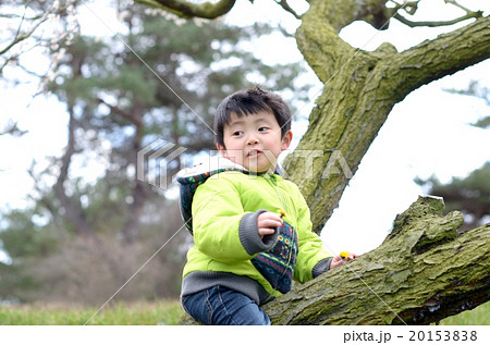 子供 20153838