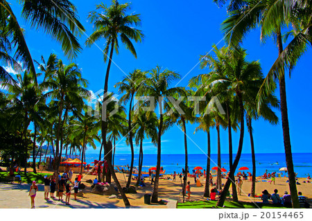 人気のワイキキビーチ 20154465