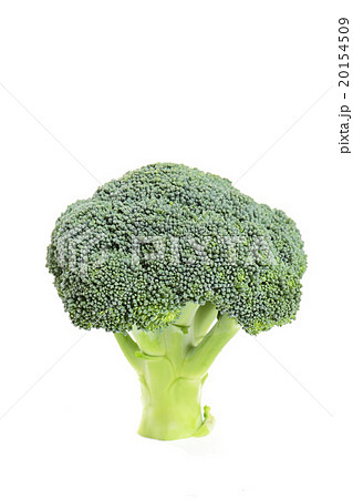 ブロッコリーは栄養満点 20154509