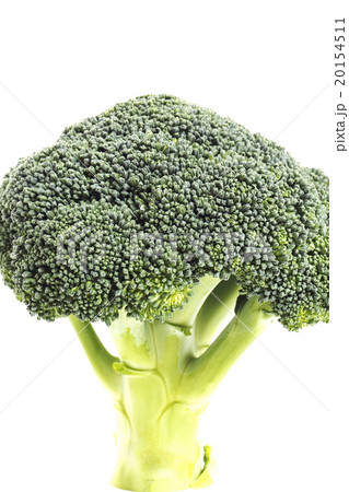 ブロッコリーは緑黄色野菜の写真素材
