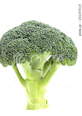 ブロッコリー芽花野菜 ブロッコリー芽花野菜 20154515