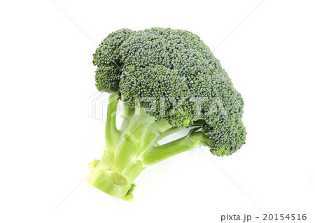 ブロッコリー緑黄色野菜の写真素材