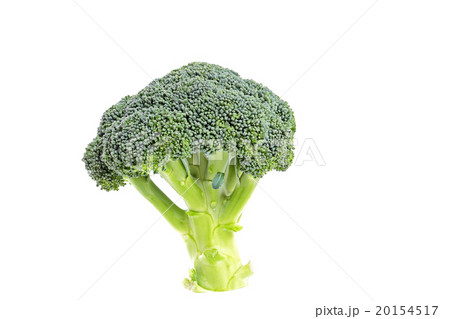 ブロッコリーは緑黄色野菜 20154517