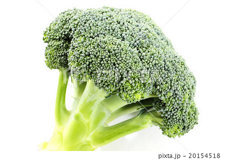 ブロッコリーは栄養満点 20154518