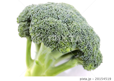 ブロッコリーは栄養満点鉄分いっぱい 20154519