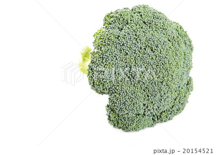 ブロッコリー 20154521