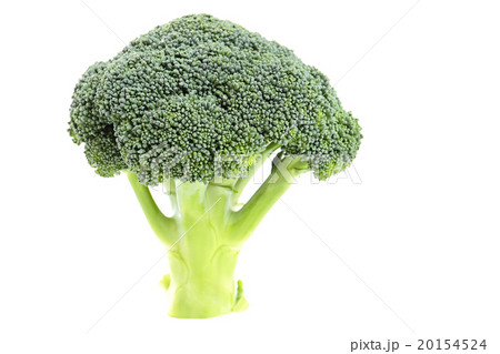 ブロッコリー 20154524