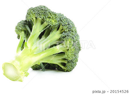 ブロッコリー ブロッコリー 20154526