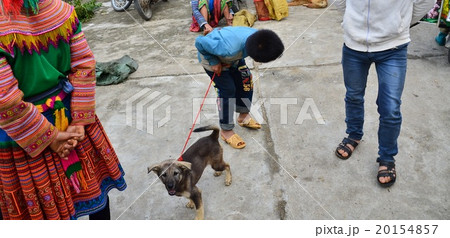 ベトナム北部 バクハの市場 花モン族の少年と犬 ベトナム北部 バクハの市場 花モン族の少年と犬 20154857
